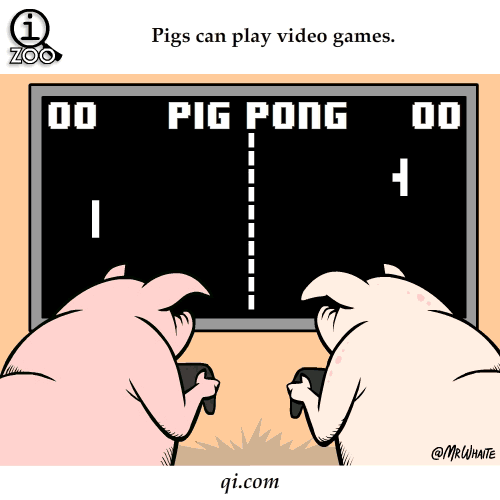 動(dòng)物