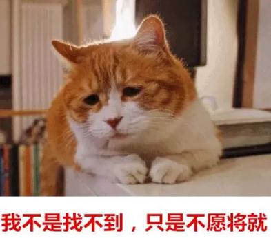你單身的原因找到了！調查：七成人不愿將就，半數(shù)男生看臉