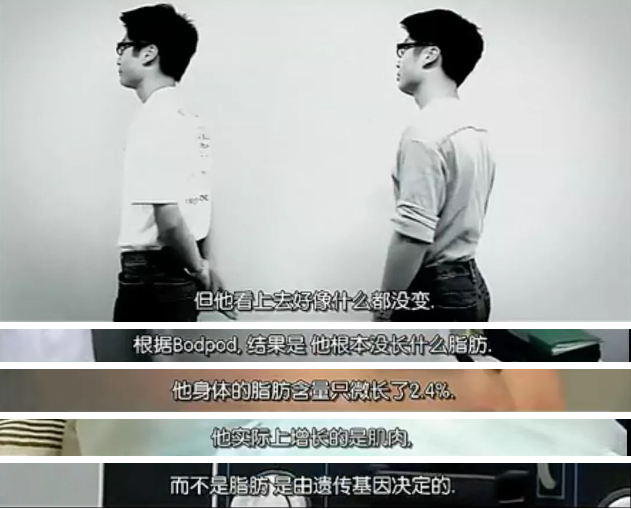 胖
