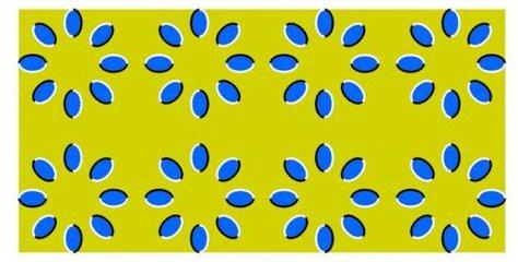 你看到的不一定就是你看到的