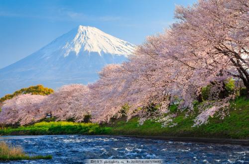 日本的“長(zhǎng)壽國(guó)”桂冠不保了