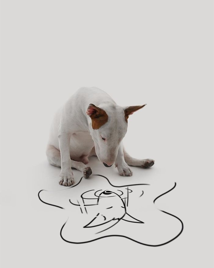 狗子
