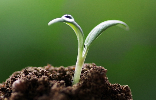 重磅！我國首部土壤污染防治法將于2019年1月1日起施行