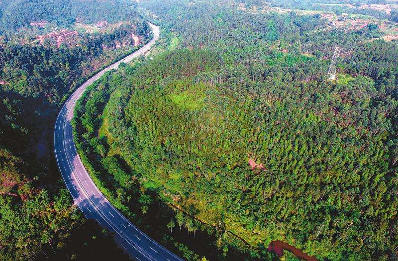 地球上的森林覆蓋是多了,還是少了？