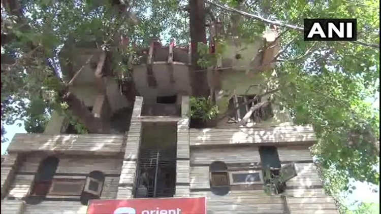 與其砍倒150年的樹，不如就地建房子