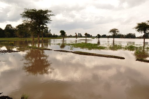 卡納塔克邦發(fā)生洪災，自8月1日以來，40人死亡，14人失蹤