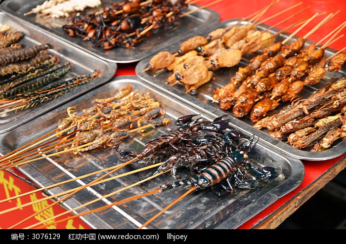 昆蟲(chóng)專(zhuān)供餐飲店旨在讓蟲(chóng)子變得可口