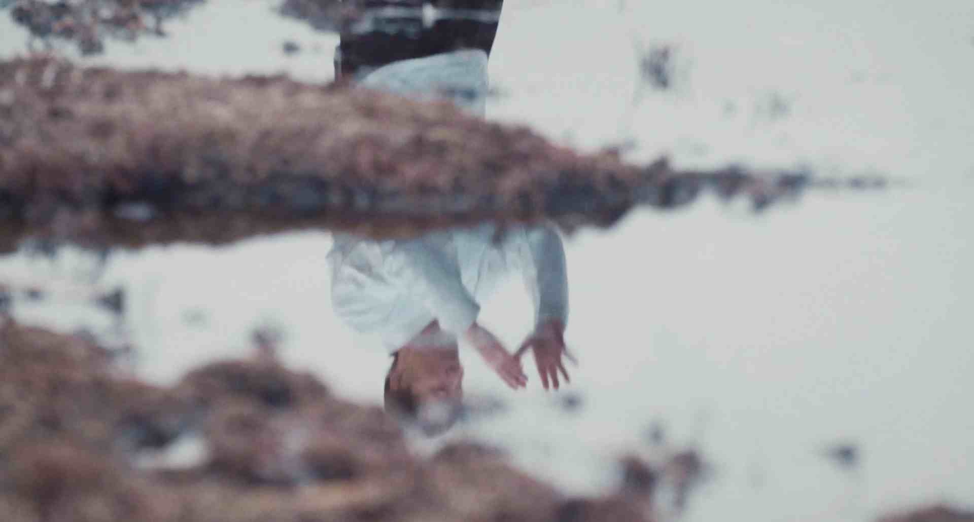 楊式太極拳:追求和諧