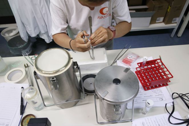 意大利科學家啟用冷凍精子，助北部白犀牛物種延續(xù)