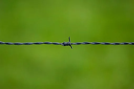我想，人的心靈總是在成長(zhǎng)的