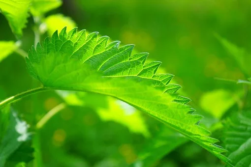 愛存在于每一個善舉之中，無論這善舉多么微不足道