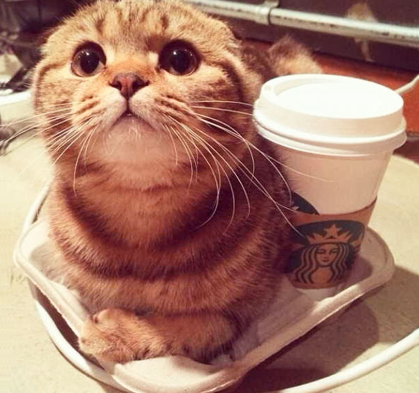 取暖